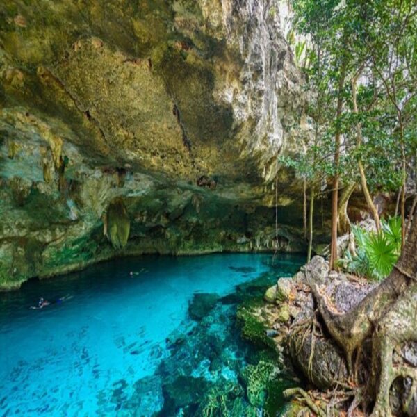 TOUR 4X1 DIAMANTE: TULUM, COBÁ, CENOTE Y PLAYA DEL CARMEN - Image 5