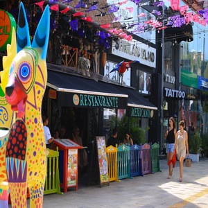 quinta-avenida-playa-del-carmen-tour