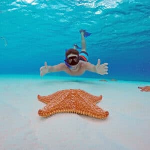hombre haciendo snorkel posando con una estrella de mar