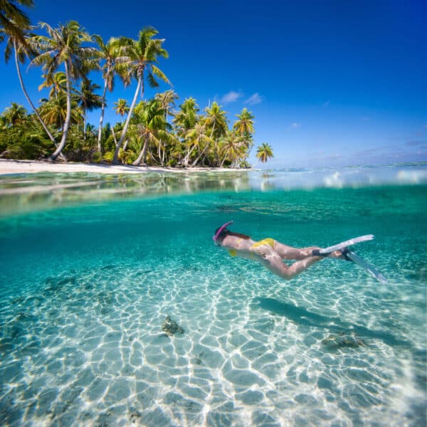 Tour a Isla Contoy y Isla Mujeres: Snorkel, Playa y Naturaleza