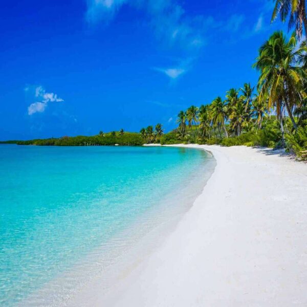 Tour a Isla Contoy y Isla Mujeres: Snorkel, Playa y Naturaleza - Image 5