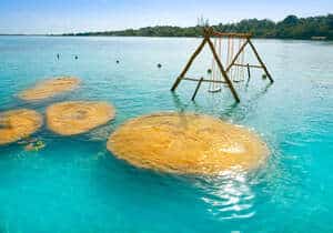 laguna de bacalar con agua cristalina y un columpio casero al fondo