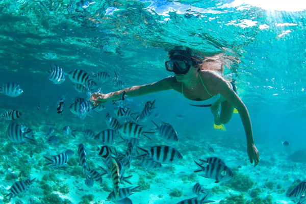 mujer haciendo snorkel en cozumel rodeada de peces blancos con negro