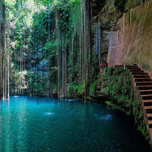 TOUR 4X1 DIAMANTE: TULUM, COBÁ, CENOTE Y PLAYA DEL CARMEN - Image 4