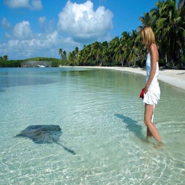 Tour a Isla Contoy y Isla Mujeres: Snorkel, Playa y Naturaleza - Image 4