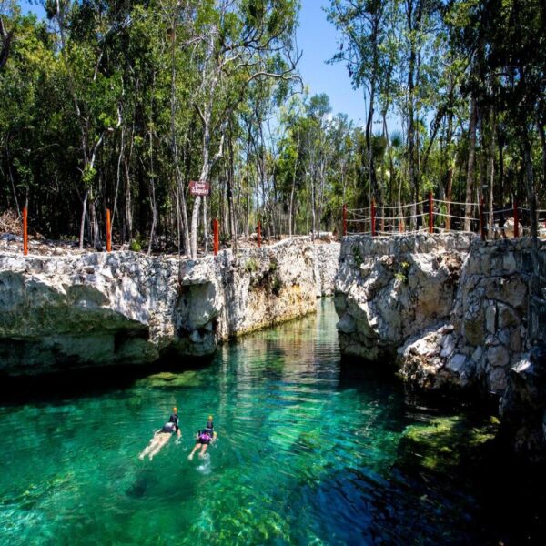 Tour Tulum Casa Tortugas: Descubre un paraíso Maya - Image 2