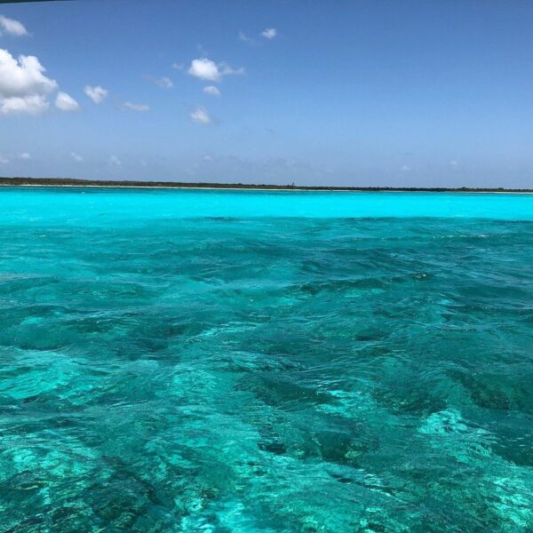 Tour Cozumel El Cielo: Snorkel, Arrecifes y Playa Cielito - Image 2