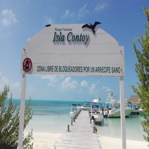Tour a Isla Contoy y Isla Mujeres: Snorkel, Playa y Naturaleza - Image 3